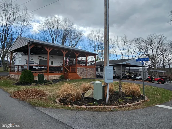 a view of a yard with a large tree