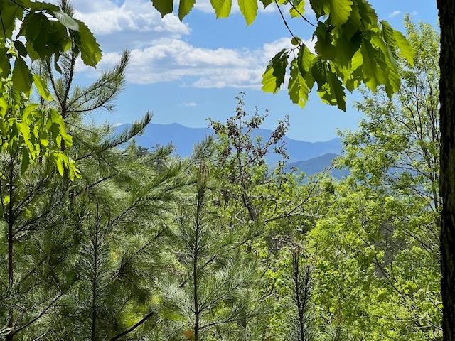 134 Summit Trails Drive Sevierville, TN 37862 - Photo 3 of 19