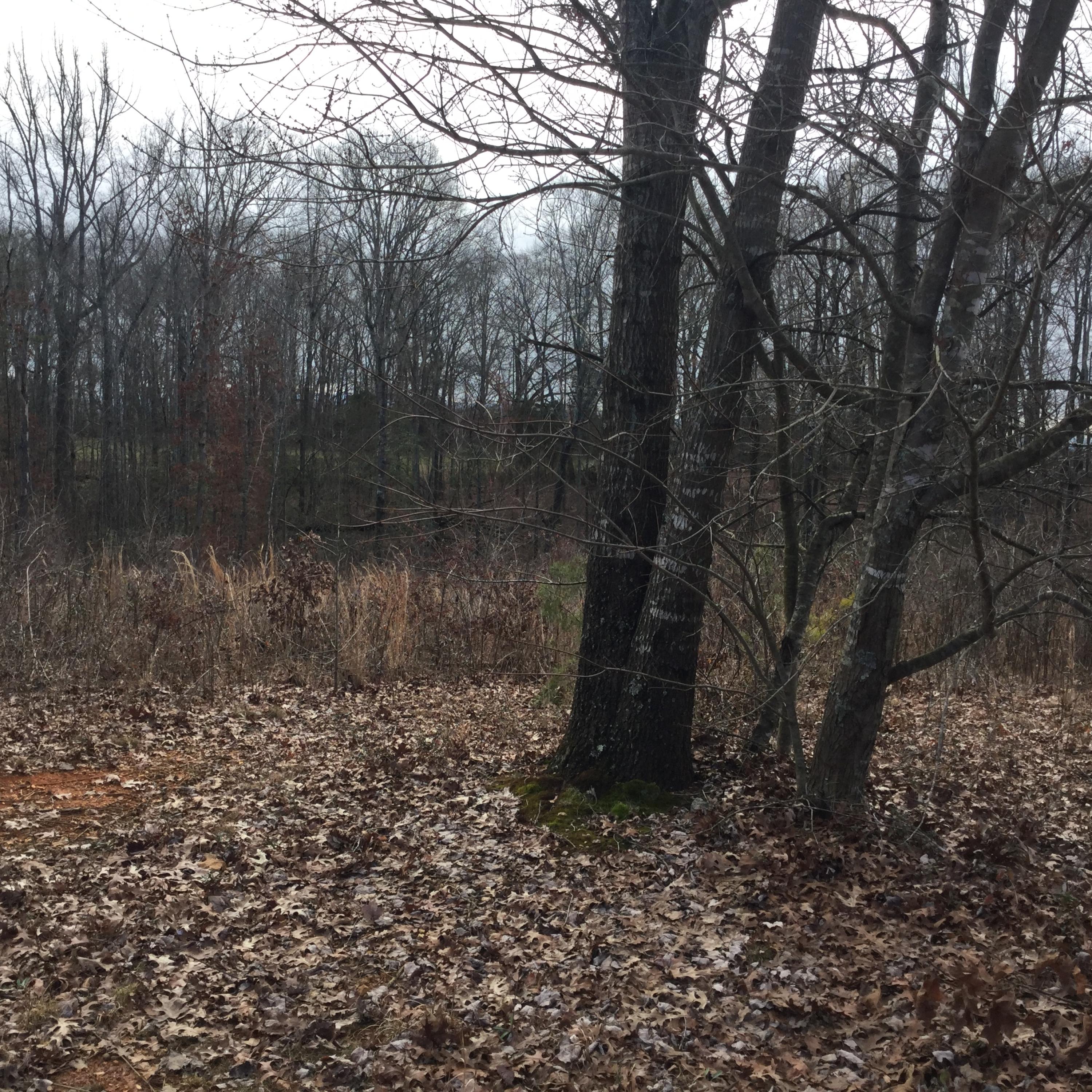 1067 Houston Springs Road Greenback, TN 37742 - Photo 2 of 8 Houston Springs Rd