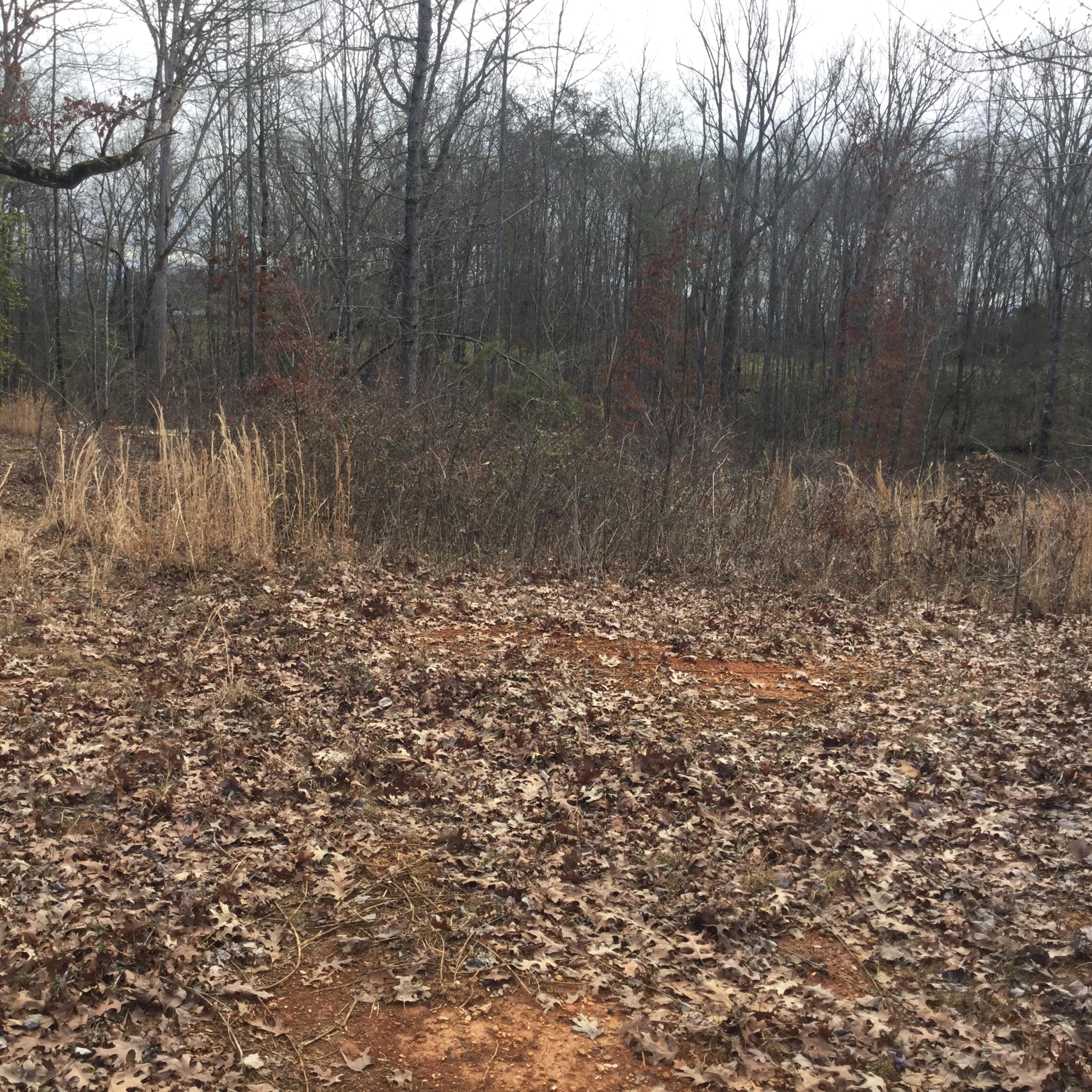 1067 Houston Springs Road Greenback, TN 37742 - Photo 8 of 8 Wyndsong