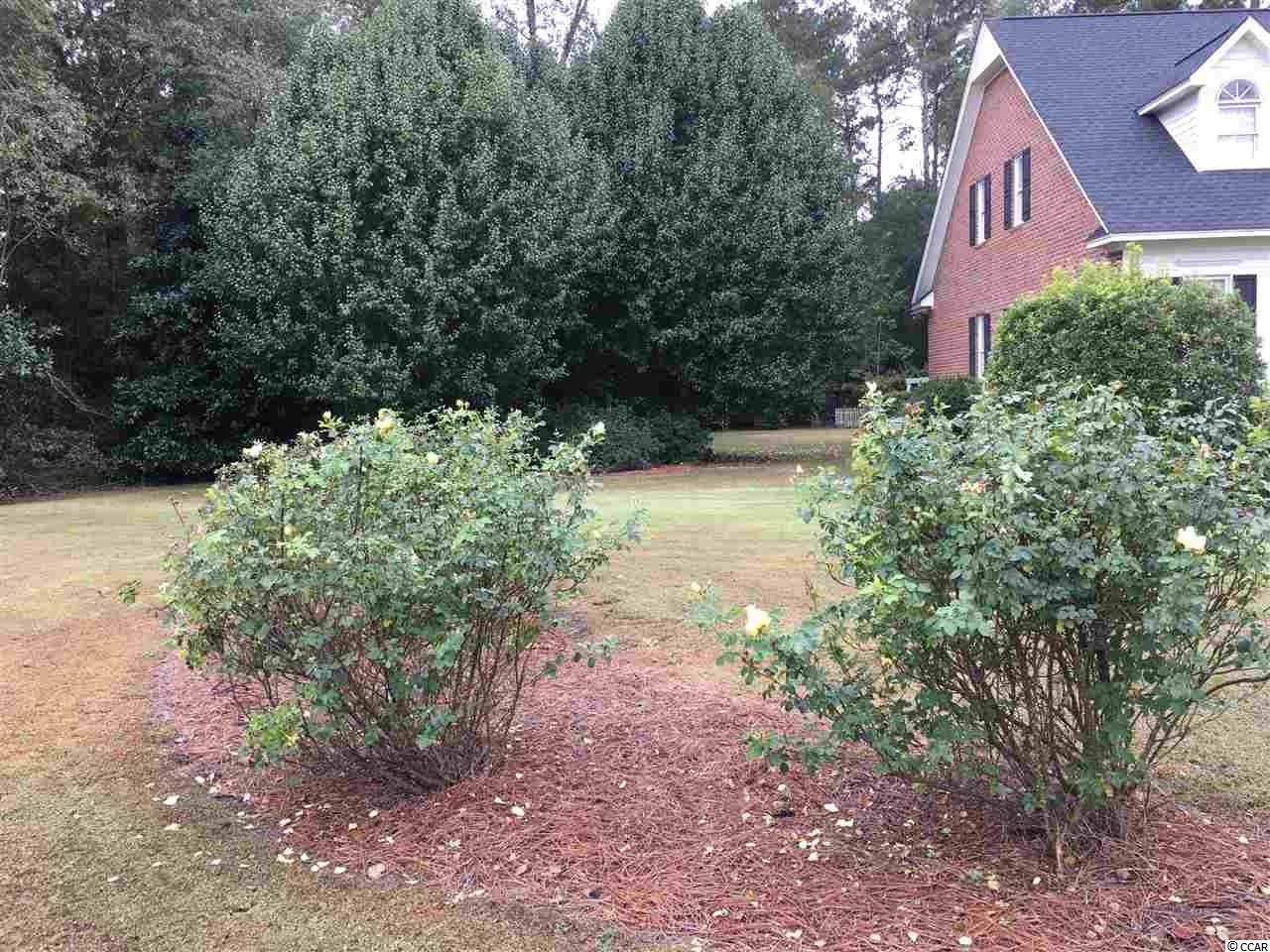 1201 Willtown Road Kingstree, SC 29556 - Photo 4 of 39