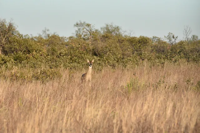 a view of lake and mountain