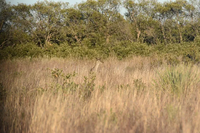 a view of a house with a mountain