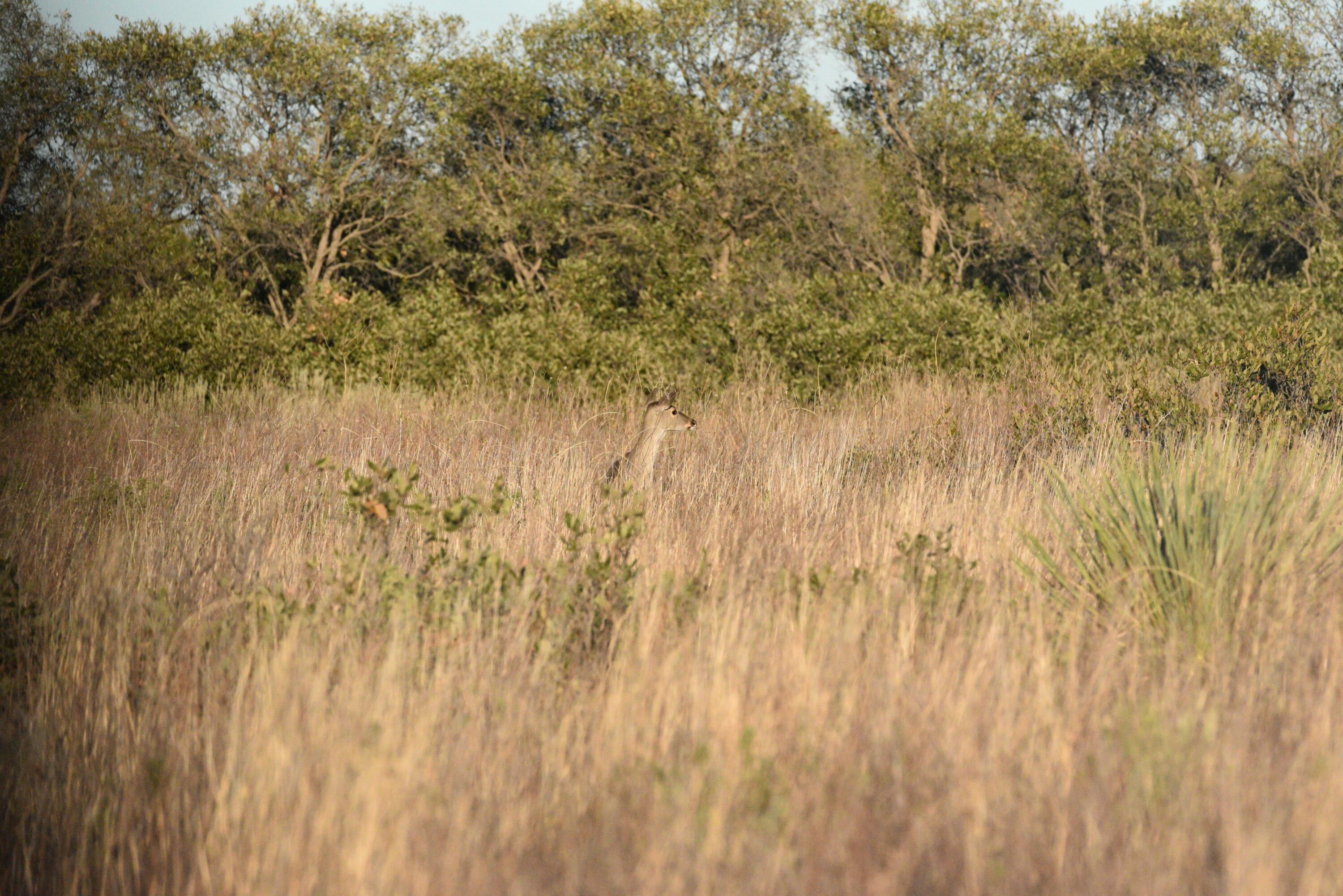 70 Sh Turkey, TX 79261 - Photo 16 of 31 a view of small yard with wooden fence