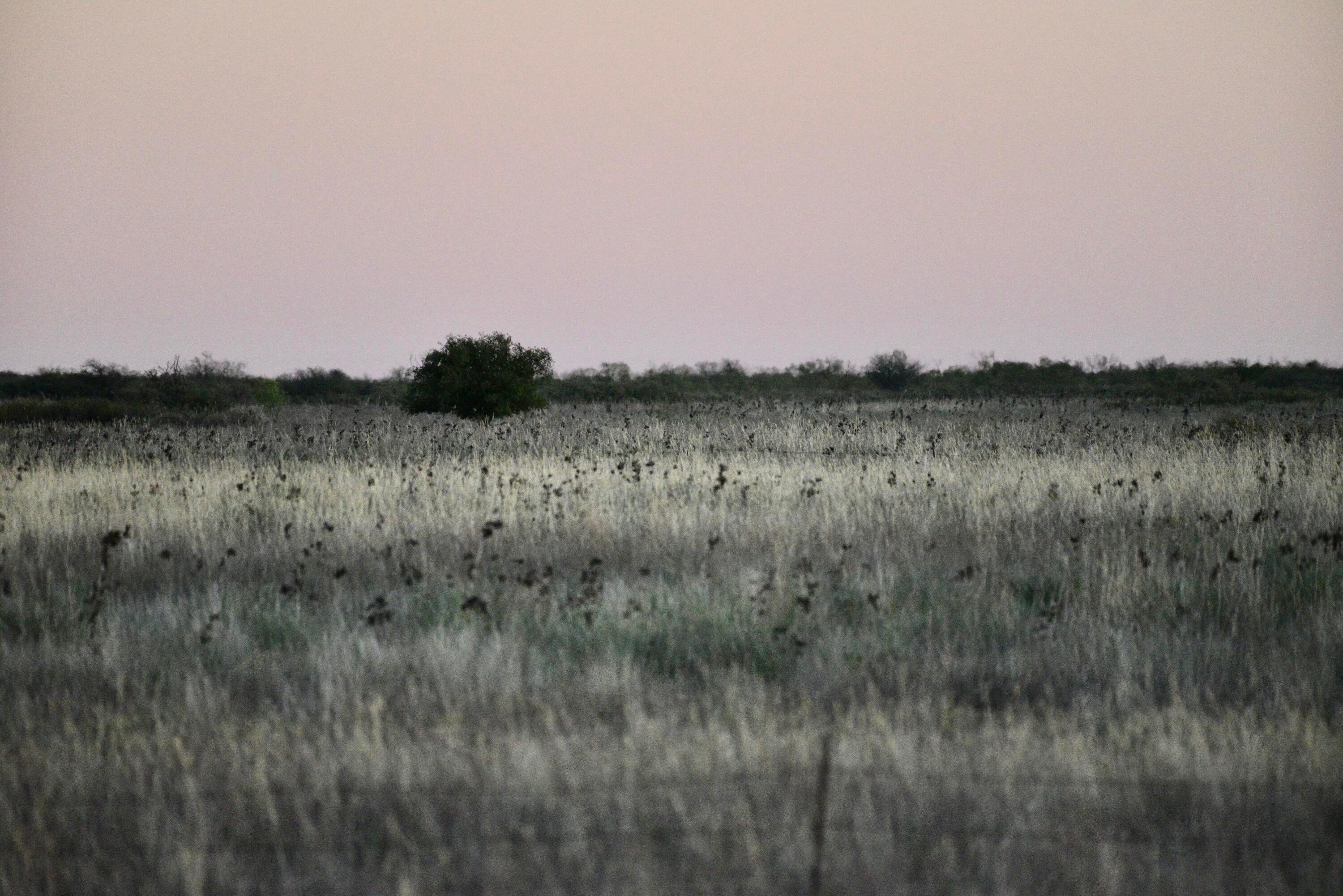 70 Sh Turkey, TX 79261 - Photo 22 of 31