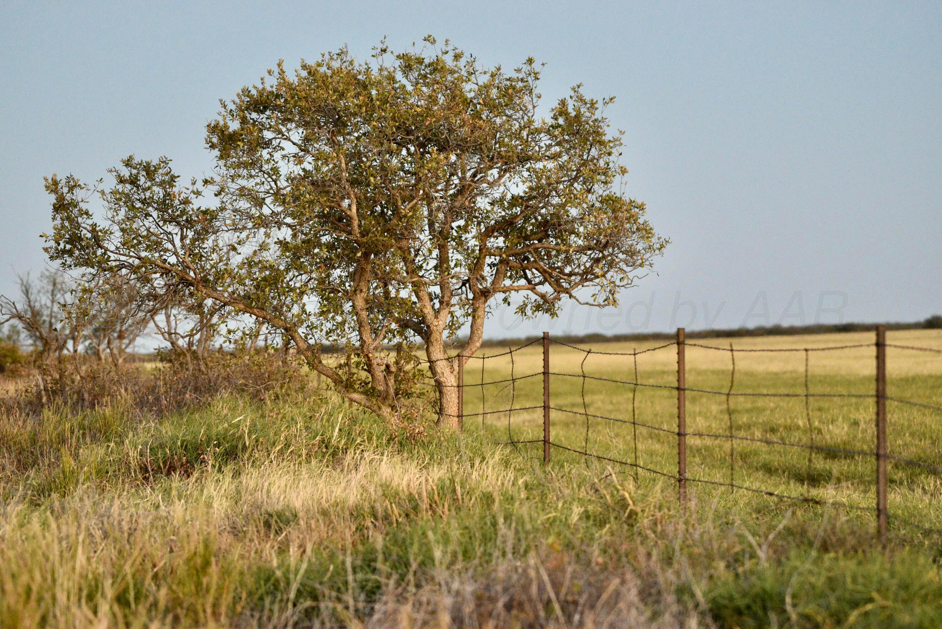 70 Sh Turkey, TX 79261 - Photo 25 of 31 a view of a garden