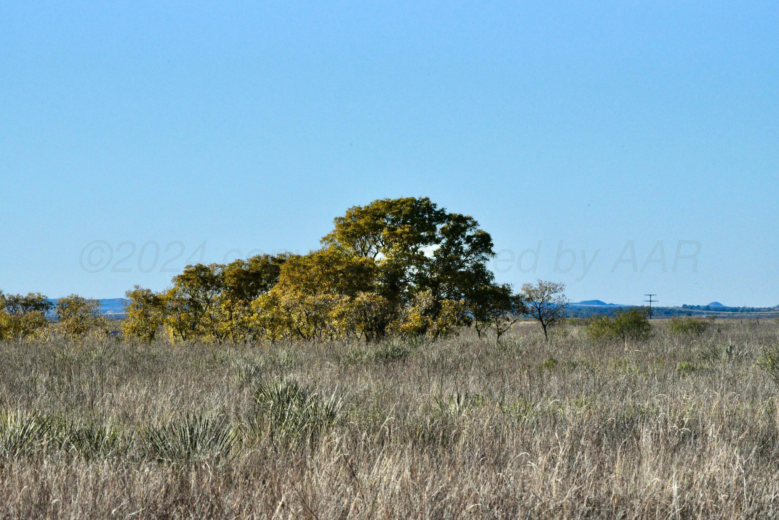 70 Sh Turkey, TX 79261 - Photo 3 of 31 a view of a lake in middle of forest