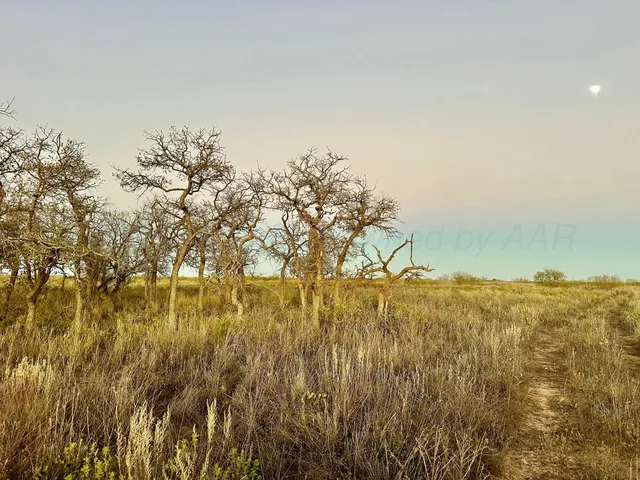 $825,500 | 70 Sh, Turkey, TX 79261