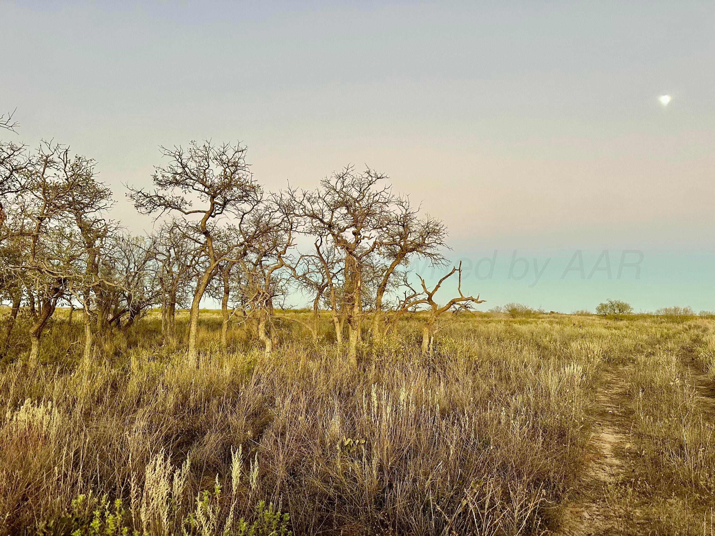 70 Sh Turkey, TX 79261 - Photo 31 of 31 a view of a city