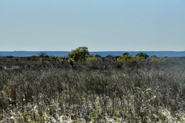 an aerial view of mountain with trees