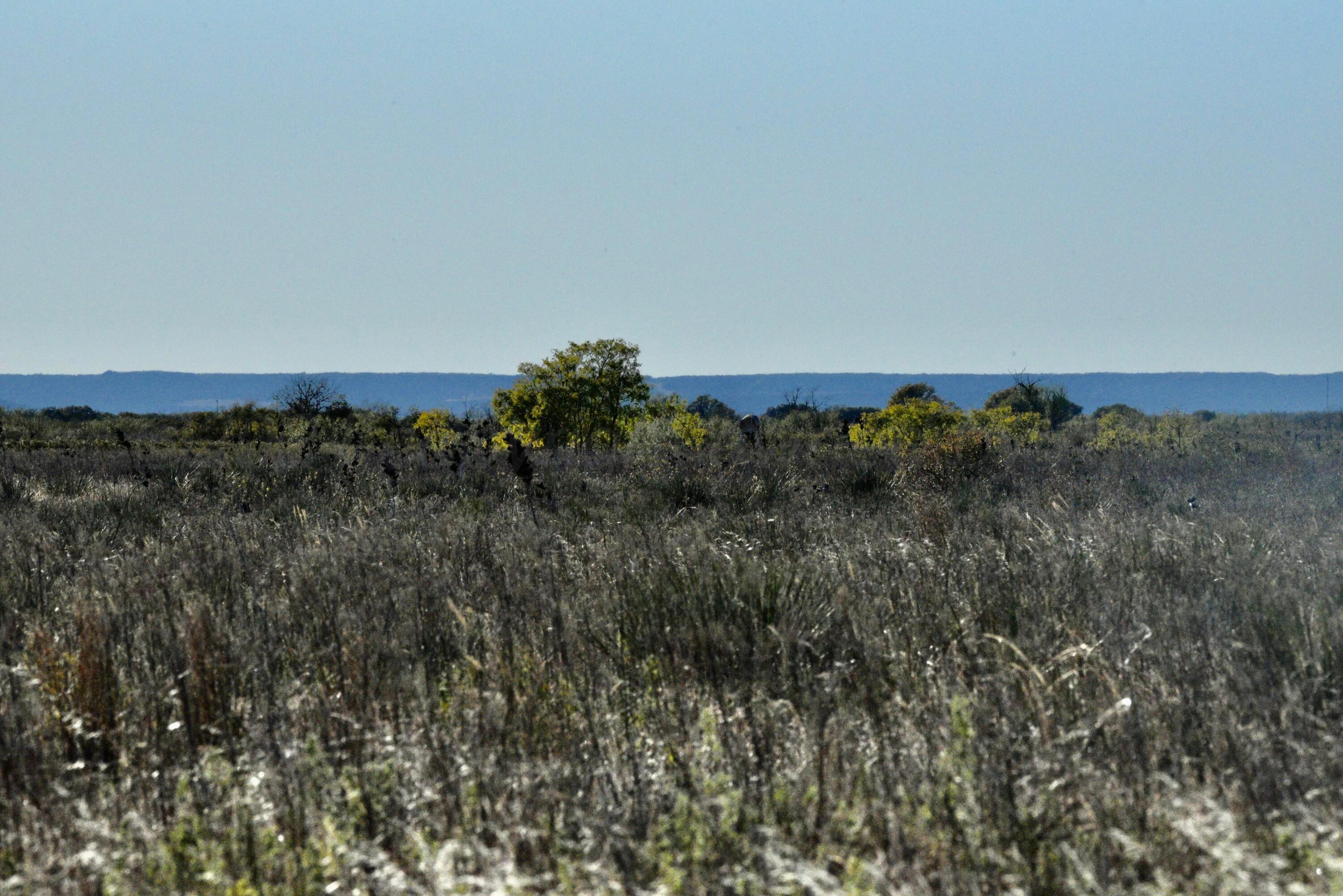 70 Sh Turkey, TX 79261 - Photo 4 of 31 an aerial view of mountain with trees