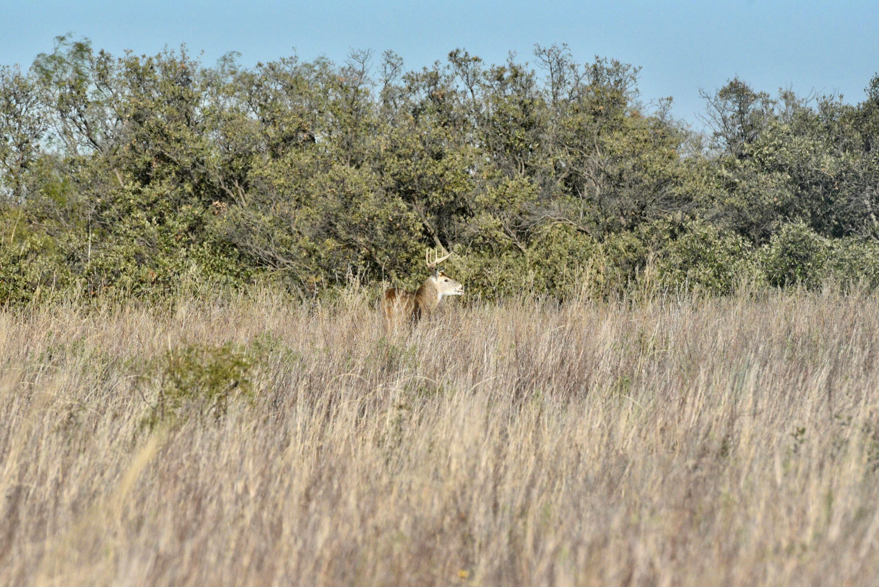 70 Sh Turkey, TX 79261 - Photo 9 of 31