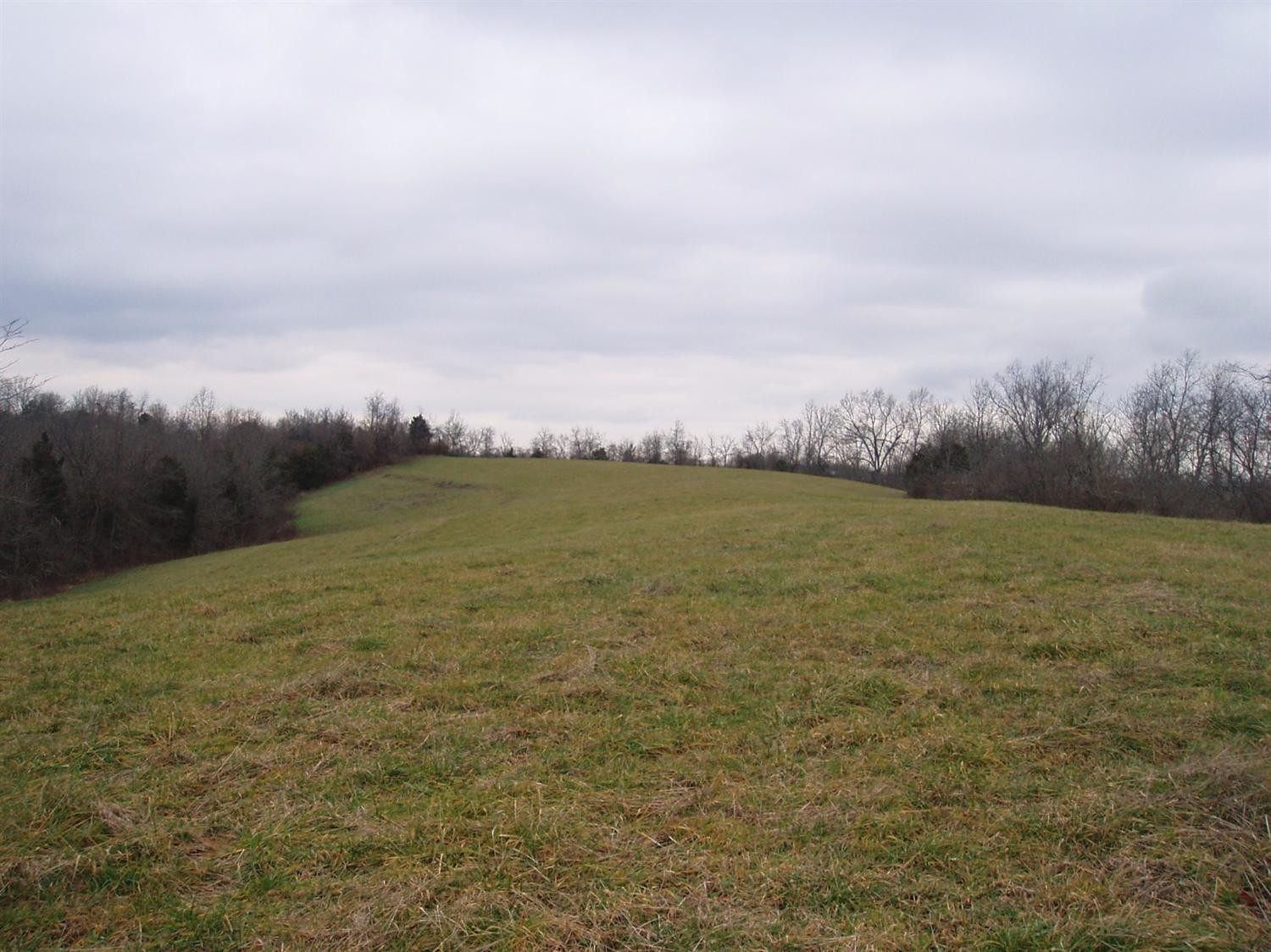 1446 Cook Ridge Road Brooksville, KY 41004 - Photo 6 of 22 Gallery Image 6