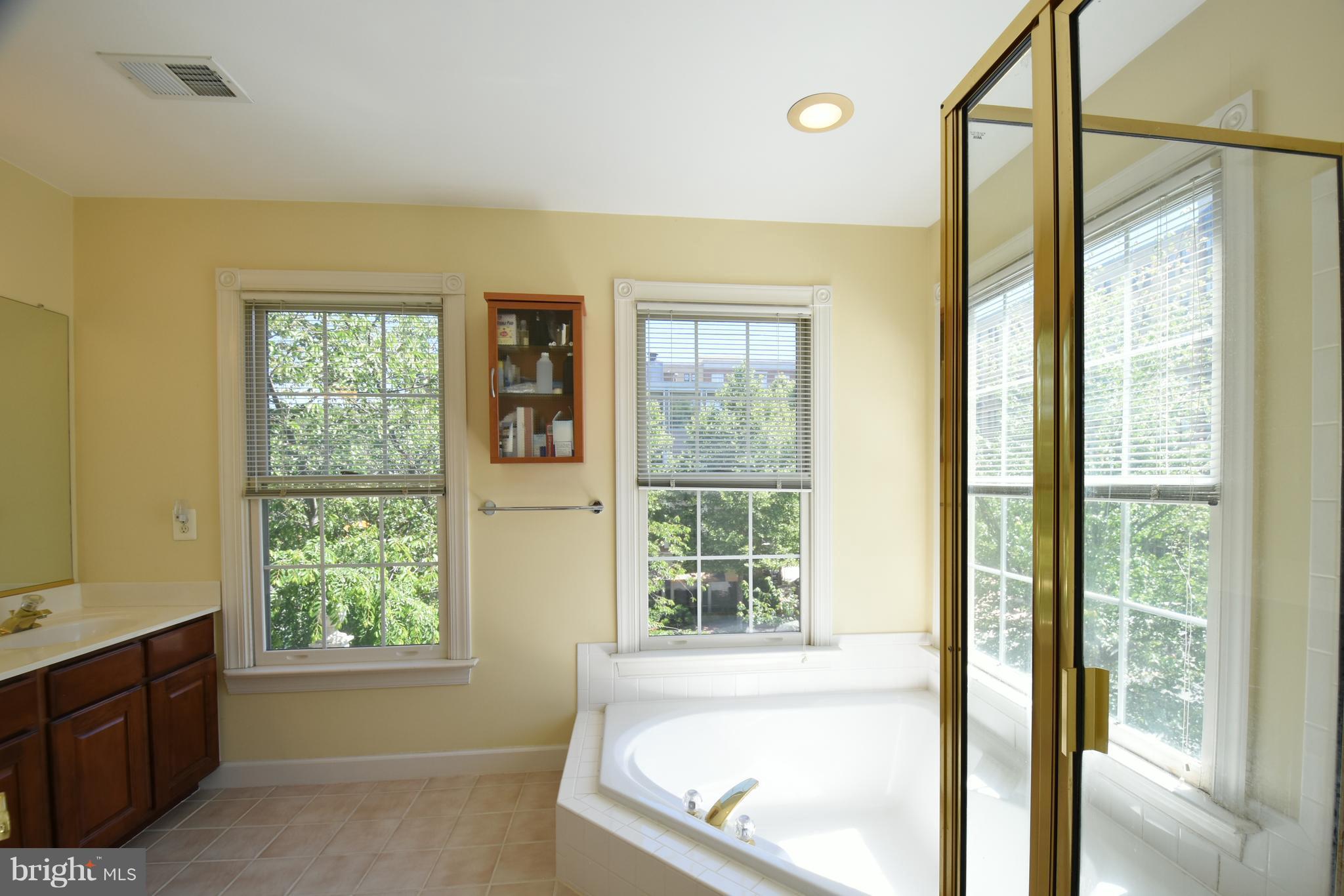 101 Rees Place Falls Church, VA 22046 - Photo 19 of 28 Elegant Master Bath