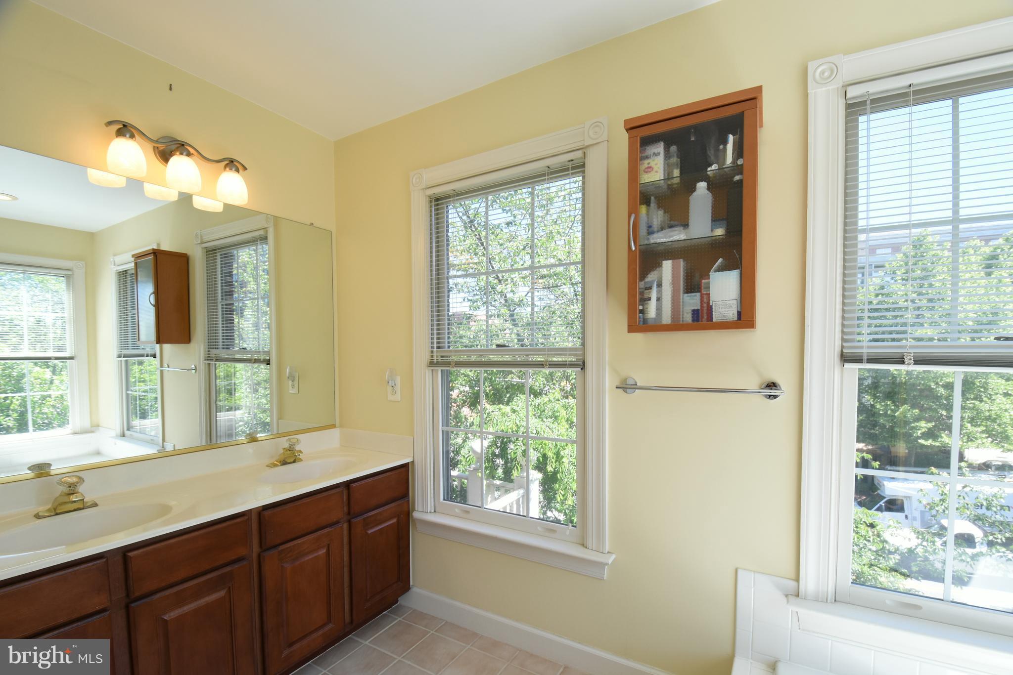 101 Rees Place Falls Church, VA 22046 - Photo 20 of 28 Bath (Master)