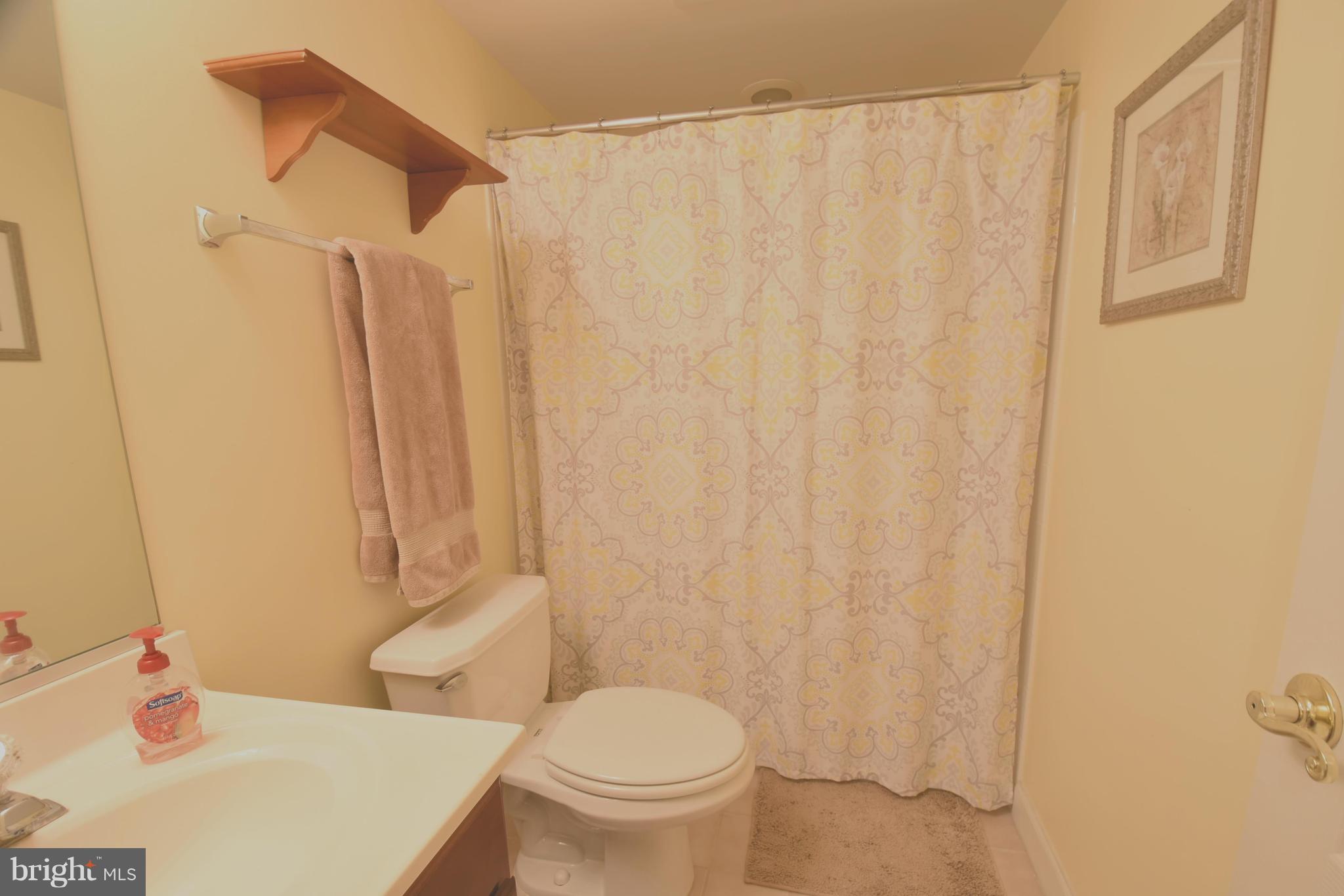 101 Rees Place Falls Church, VA 22046 - Photo 25 of 28 Lower Level Bath