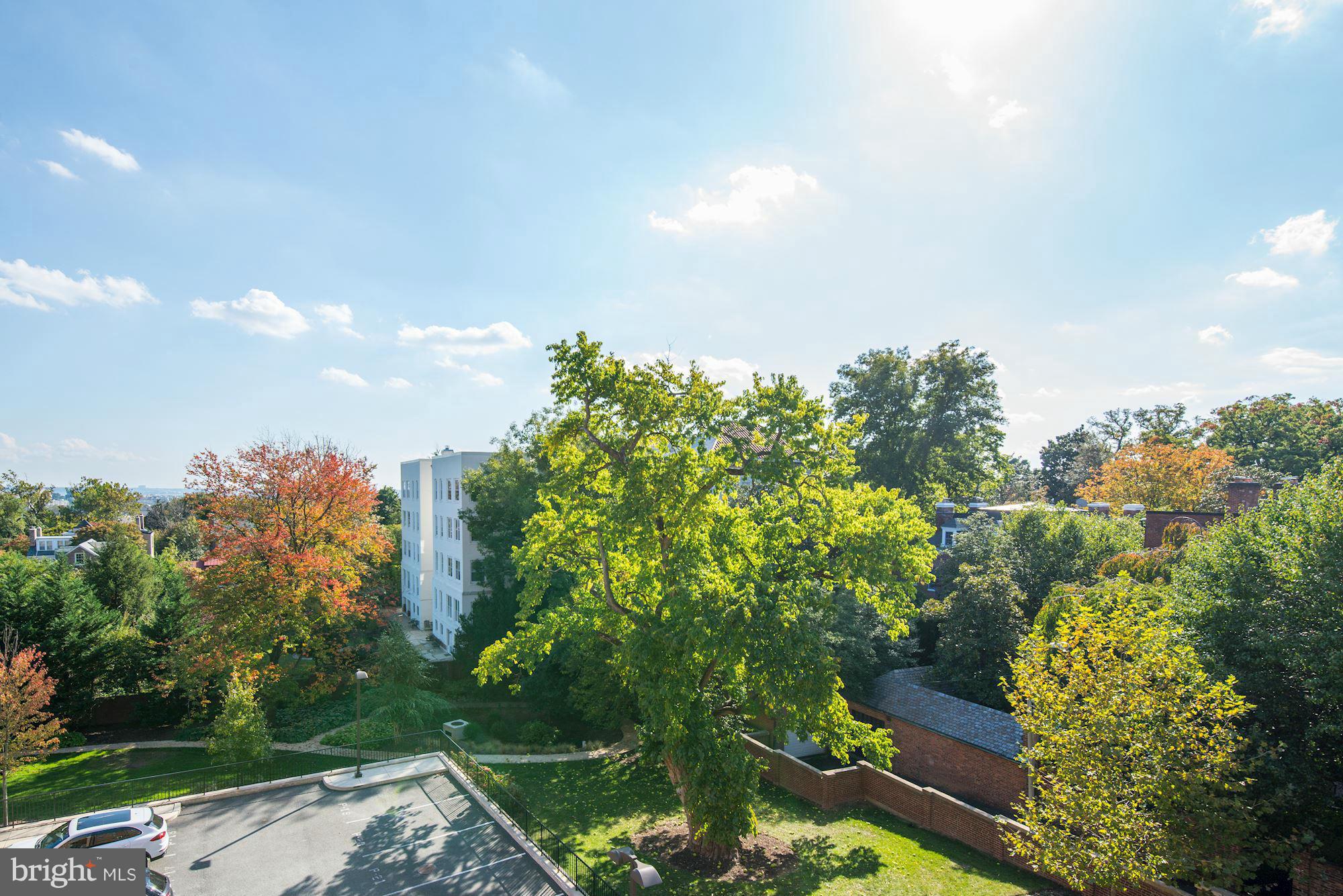 3052 R Street Northwest, Unit 303 Washington, DC 20007 - Photo 22 of 30 SOUTH FACING VIEW FROM ALL 12 WINDOWS