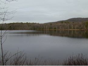 127 Rockwood Pond Road Fitzwilliam, NH 03447 - Photo 8 of 10 Gallery Image 8