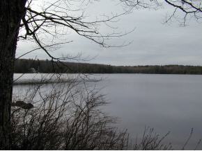 127 Rockwood Pond Road Fitzwilliam, NH 03447 - Photo 9 of 10 Gallery Image 9