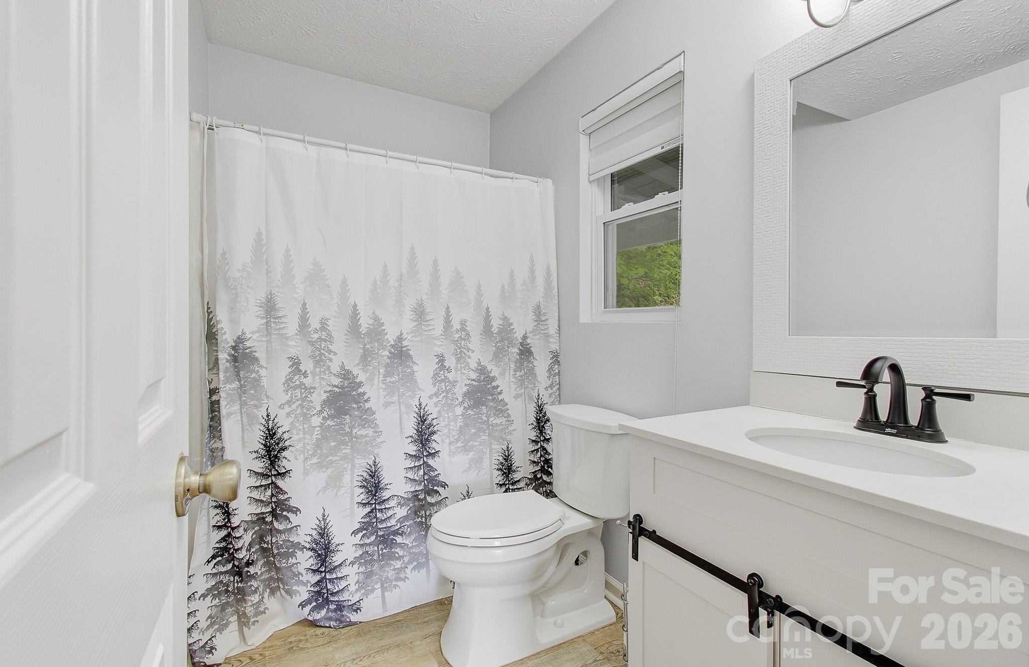 2131 Coleman Mountain Road Waynesville, NC 28785 - Photo 18 of 40 a bathroom with a sink a toilet and a mirror