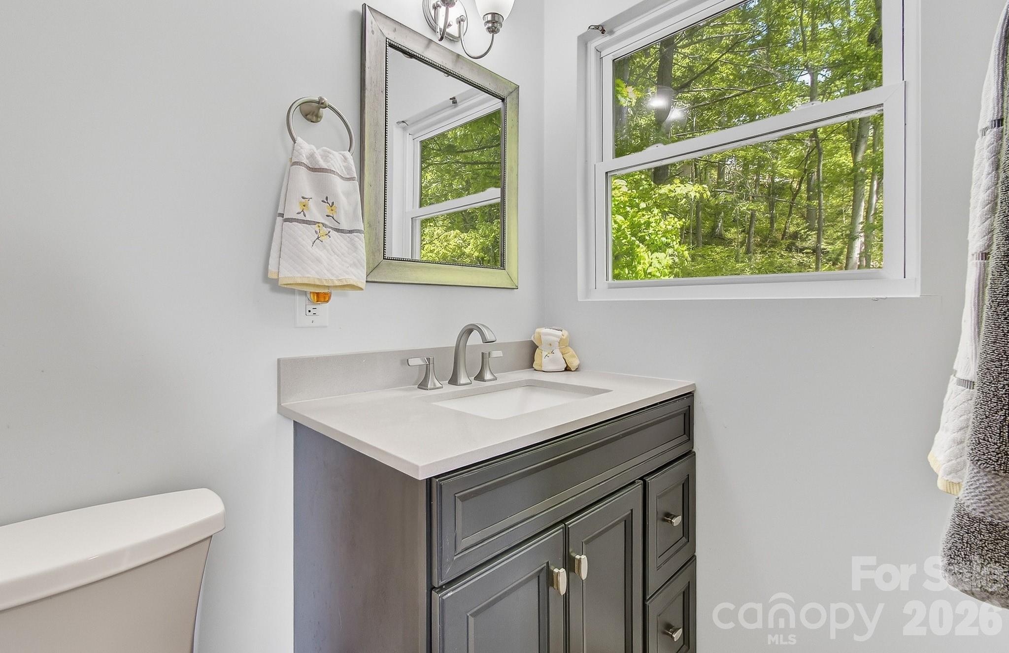 2131 Coleman Mountain Road Waynesville, NC 28785 - Photo 24 of 40 a bathroom with a sink vanity and a toilet
