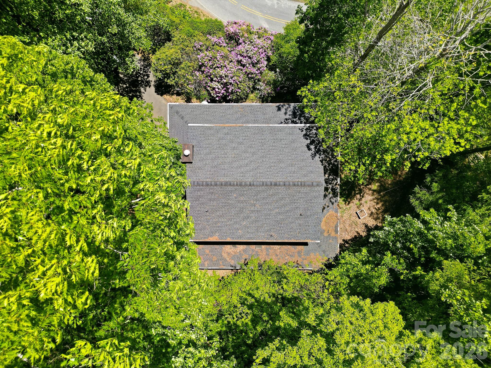 2131 Coleman Mountain Road Waynesville, NC 28785 - Photo 39 of 40