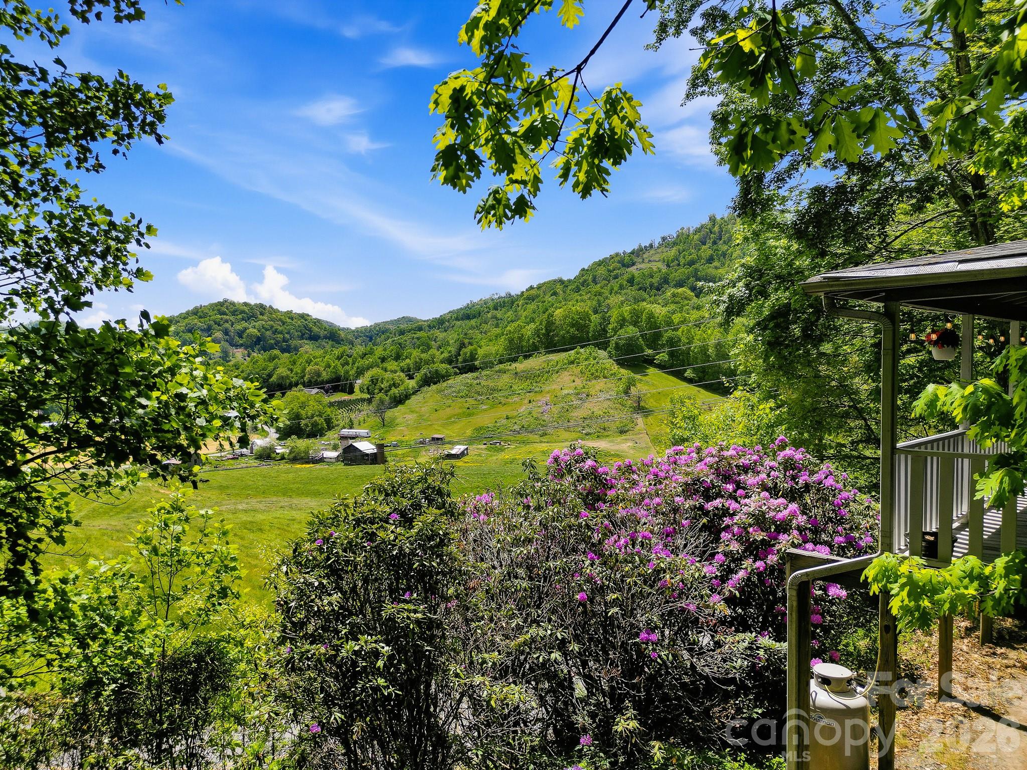 2131 Coleman Mountain Road Waynesville, NC 28785 - Photo 5 of 40 a view of a garden with a flower in a garden
