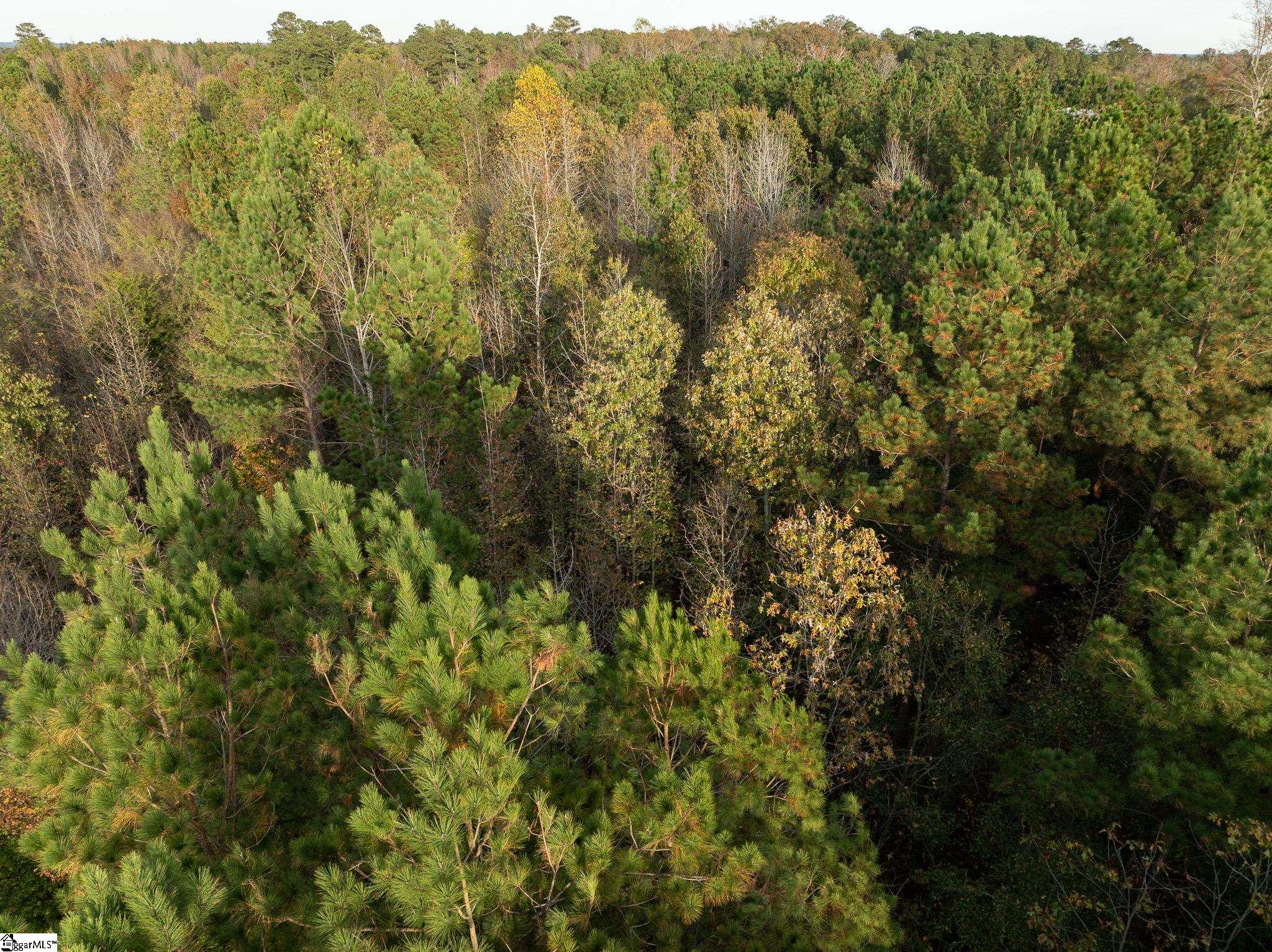 0 Skippers Lodge Road Cross Hill, SC 29332 - Photo 13 of 18 Gallery Image 13