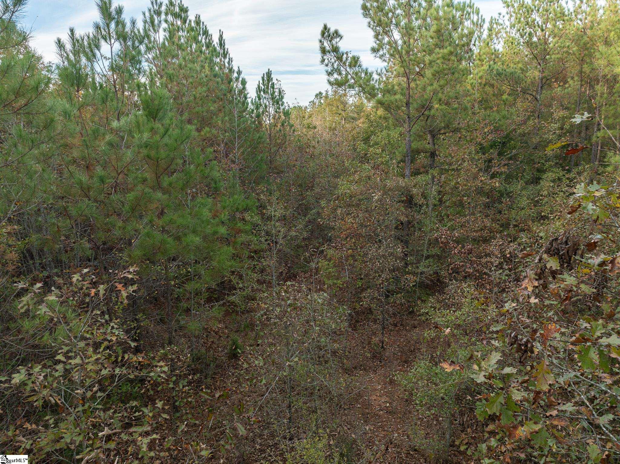0 Skippers Lodge Road Cross Hill, SC 29332 - Photo 9 of 18 Gallery Image 9
