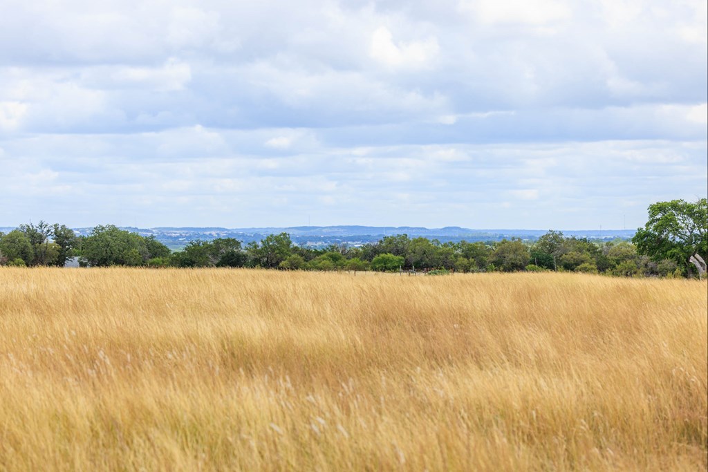 1556 Pfiester Road Fredericksburg, TX 78624 - Photo 56 of 61