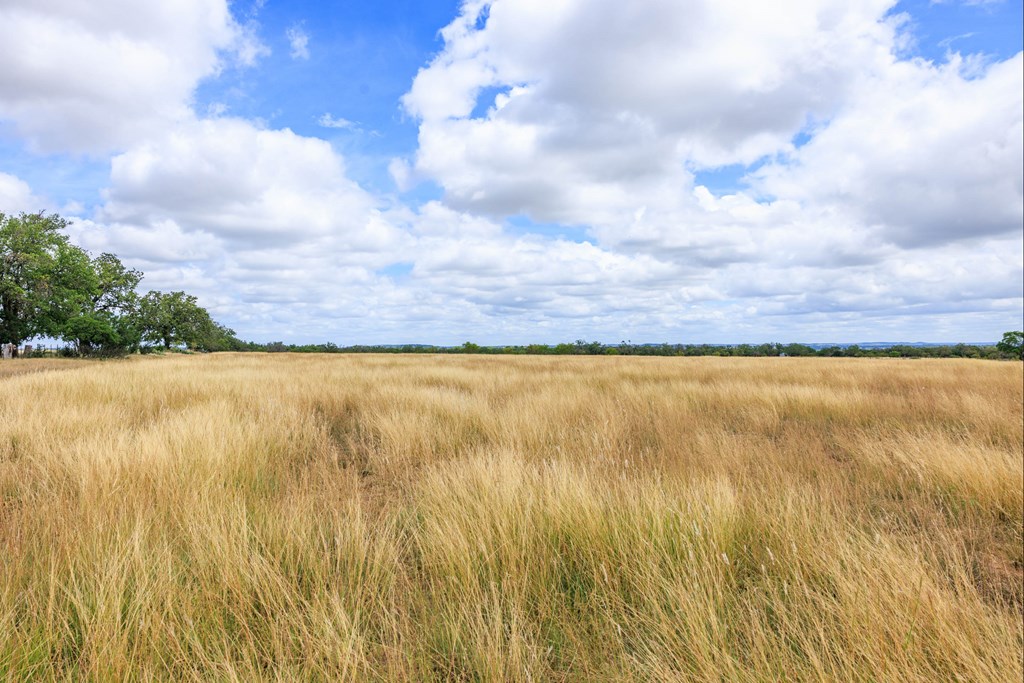1556 Pfiester Road Fredericksburg, TX 78624 - Photo 59 of 61