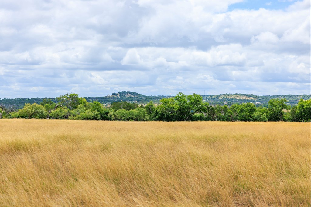 1556 Pfiester Road Fredericksburg, TX 78624 - Photo 61 of 61
