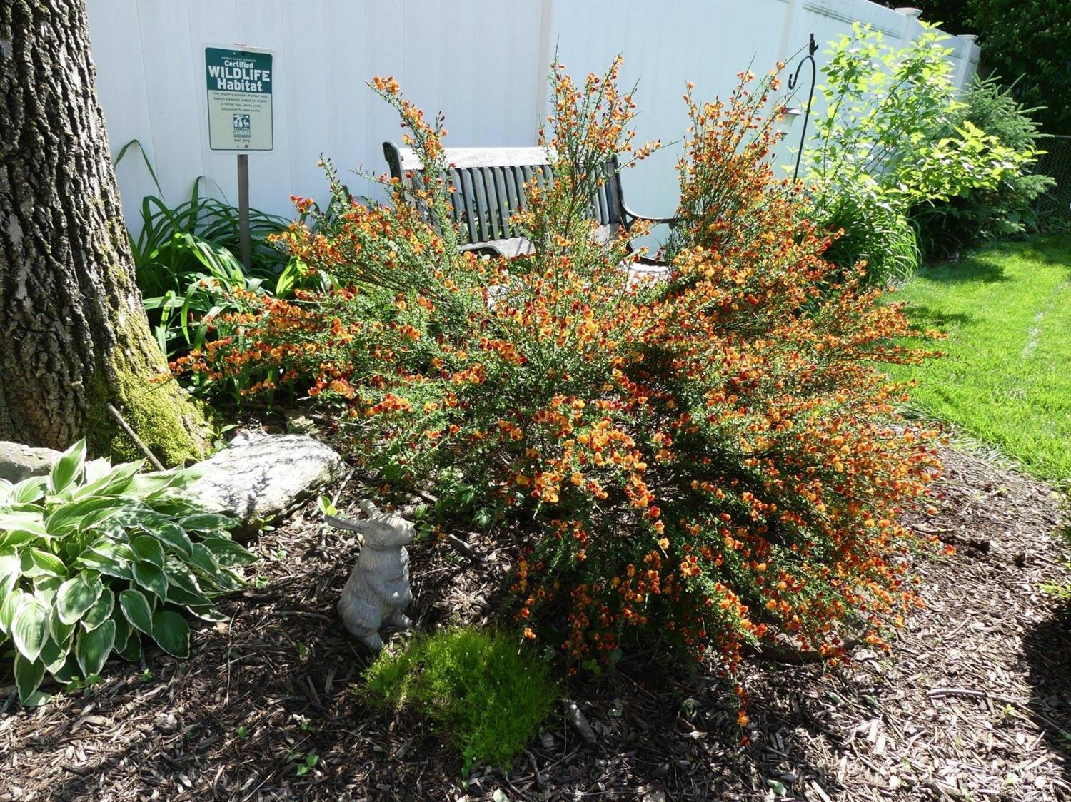 66 Spring Street Edison, NJ 08820 - Photo 32 of 33 Gallery Image 32