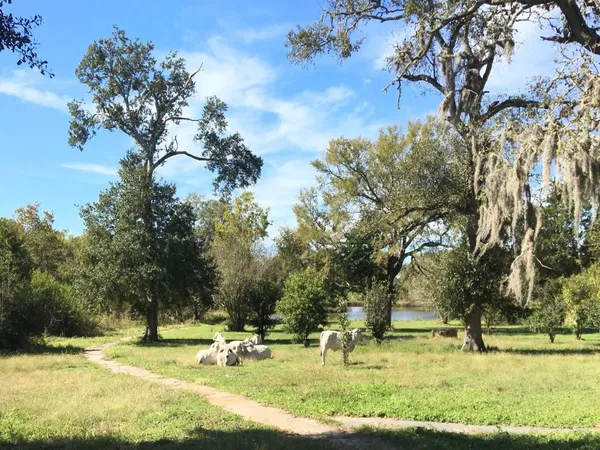 $255,000 | 5 Nelson Road, Hempstead, TX 77445