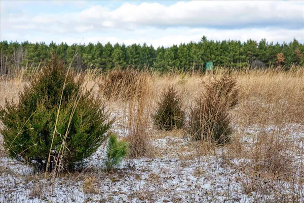 $850,000 | 0 Cambridge Road, Sparta, WI 54656