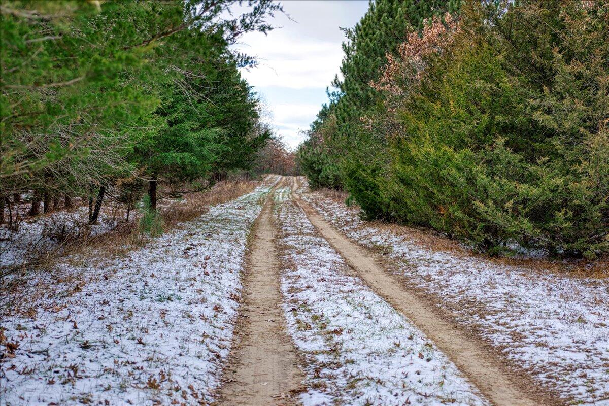 0 Cambridge Road Sparta, WI 54656 - Photo 16 of 32 37-MLS (1)