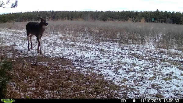 $850,000 | 0 Cambridge Road, Sparta, WI 54656