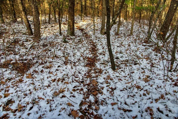 $850,000 | 0 Cambridge Road, Sparta, WI 54656