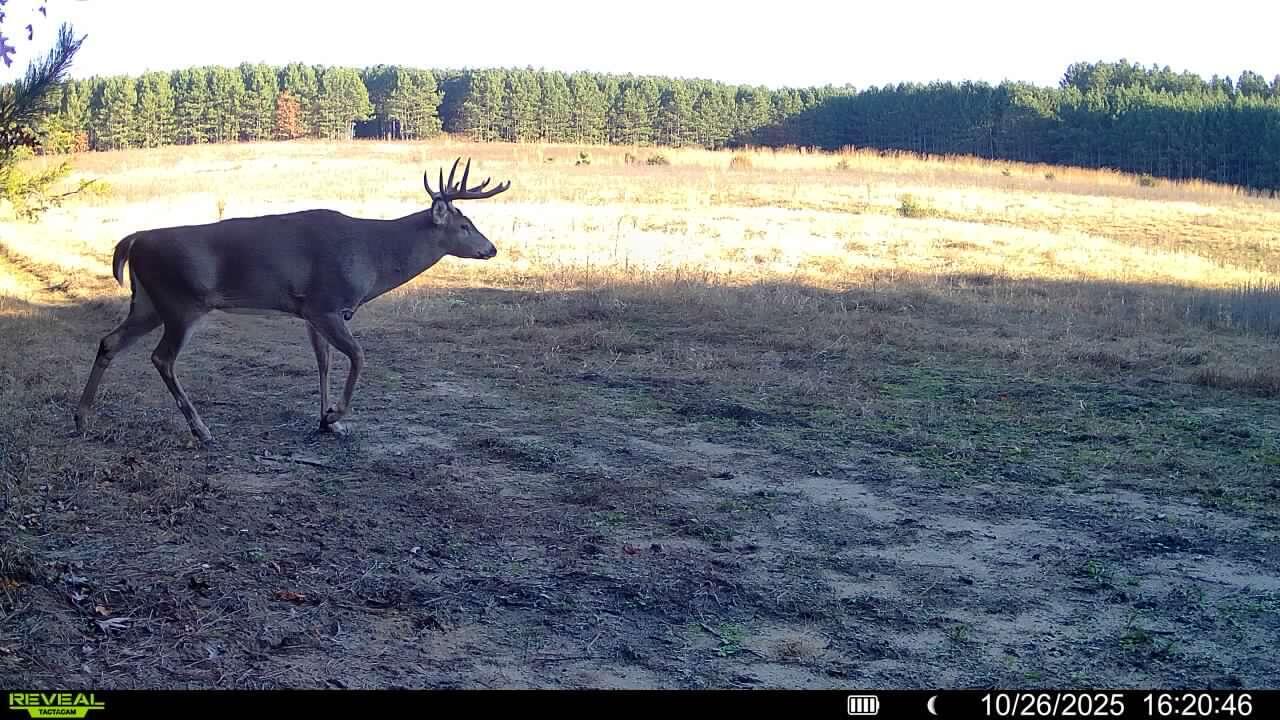 0 Cambridge Road Sparta, WI 54656 - Photo 2 of 32 34-MLS (1)