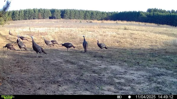 $850,000 | 0 Cambridge Road, Sparta, WI 54656