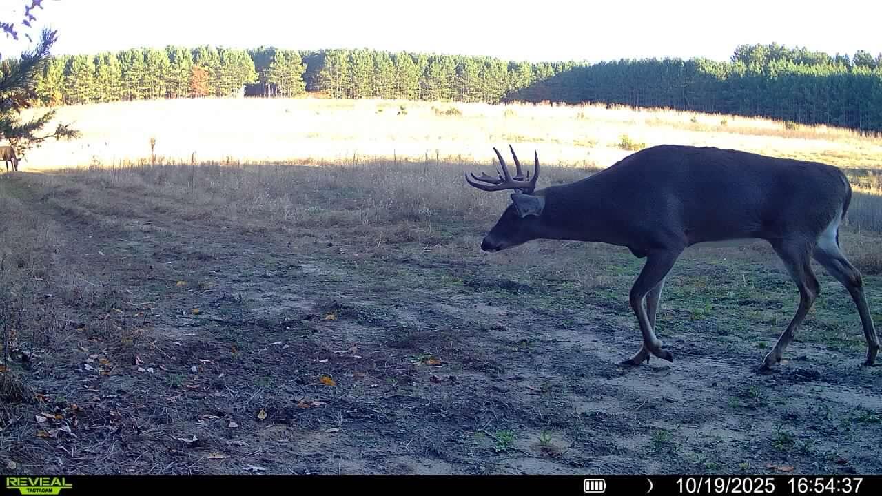 0 Cambridge Road Sparta, WI 54656 - Photo 22 of 32 44-MLS (1)
