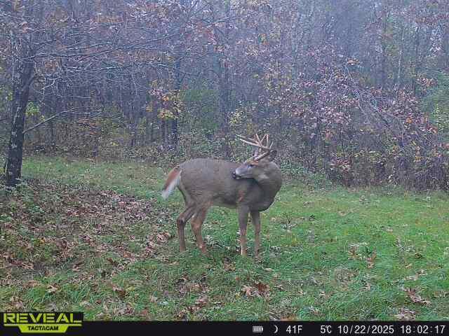 0 Cambridge Road Sparta, WI 54656 - Photo 25 of 32 4-MLS (1)