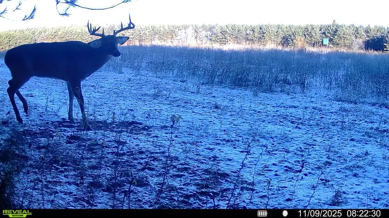 0 Cambridge Road Sparta, WI 54656 - Photo 29 of 32 50-MLS (1)