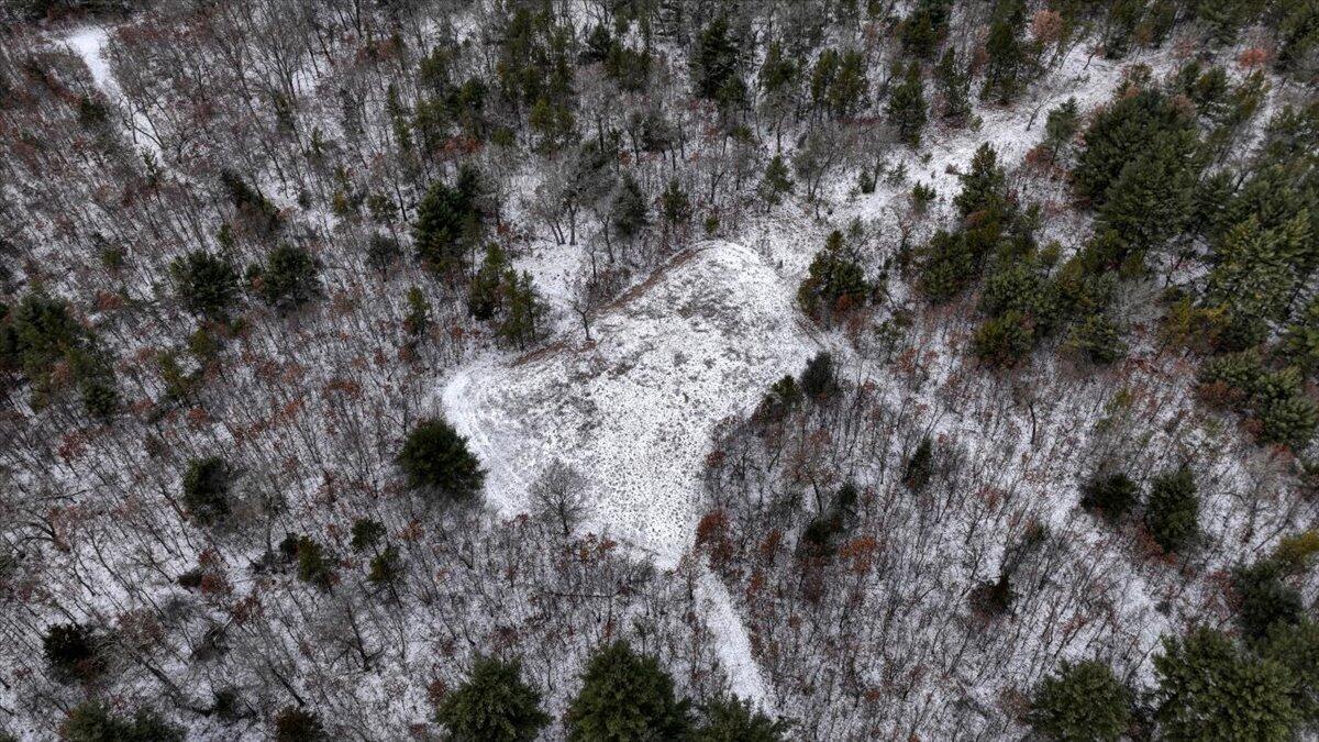 0 Cambridge Road Sparta, WI 54656 - Photo 8 of 32 29-MLS (1)