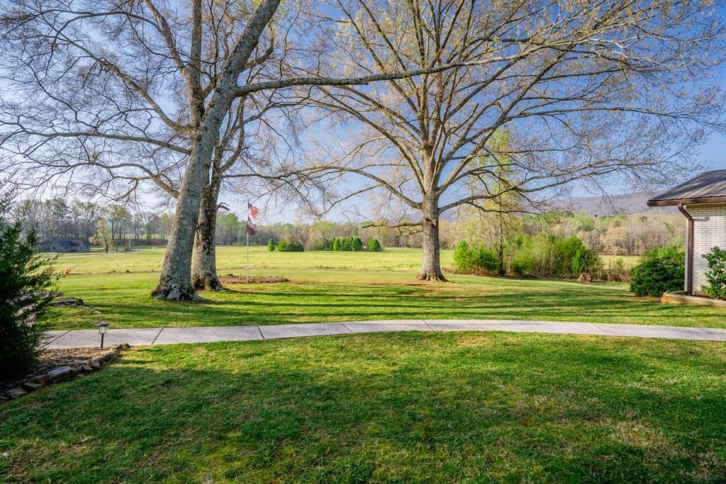 1254 Mountain Loop Road Northwest Sugar Valley, GA 30746 - Photo 8 of 75