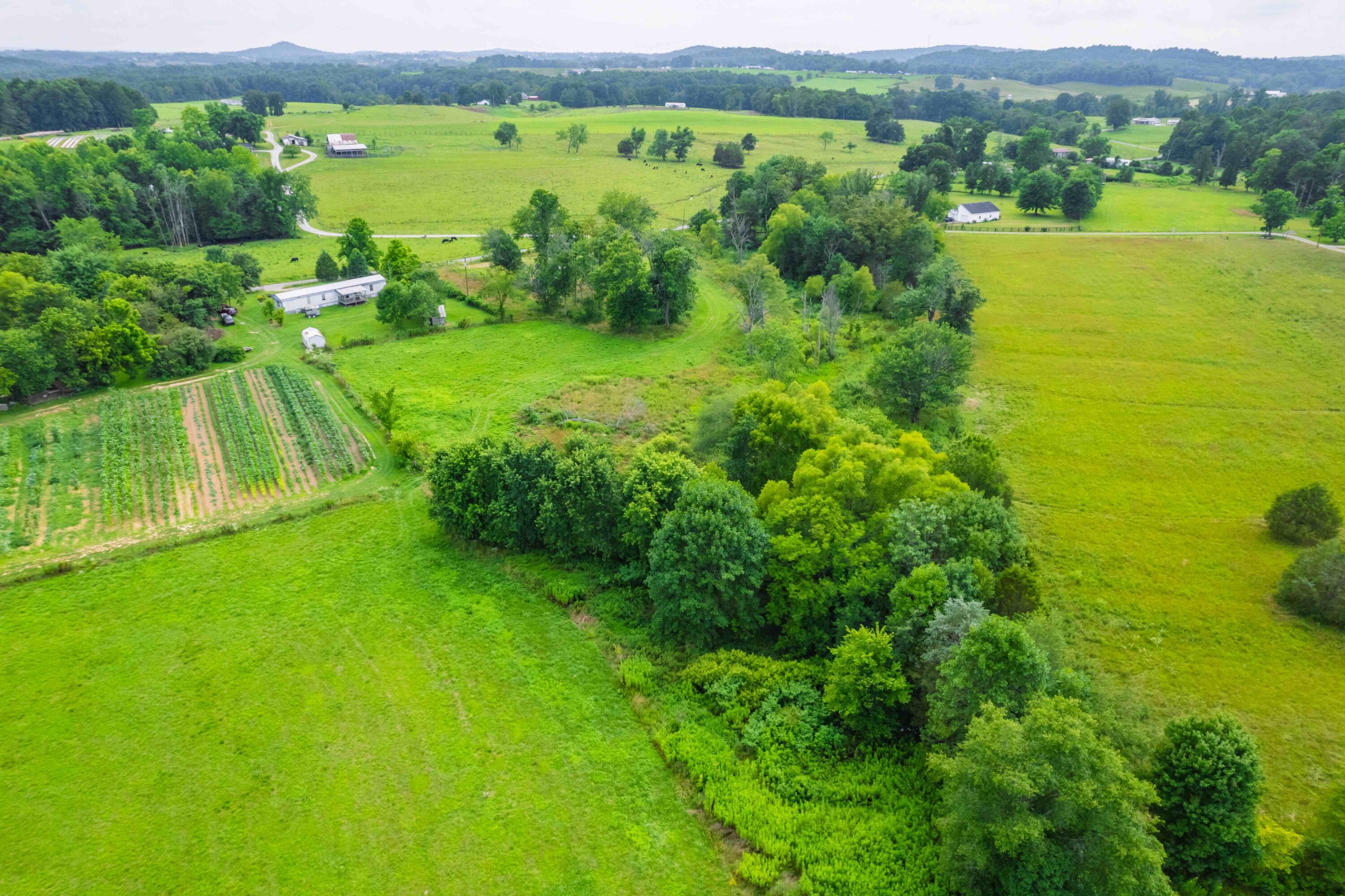 2040 Old Bull Road Eubank, KY 42567 - Photo 18 of 33 DJI_010118