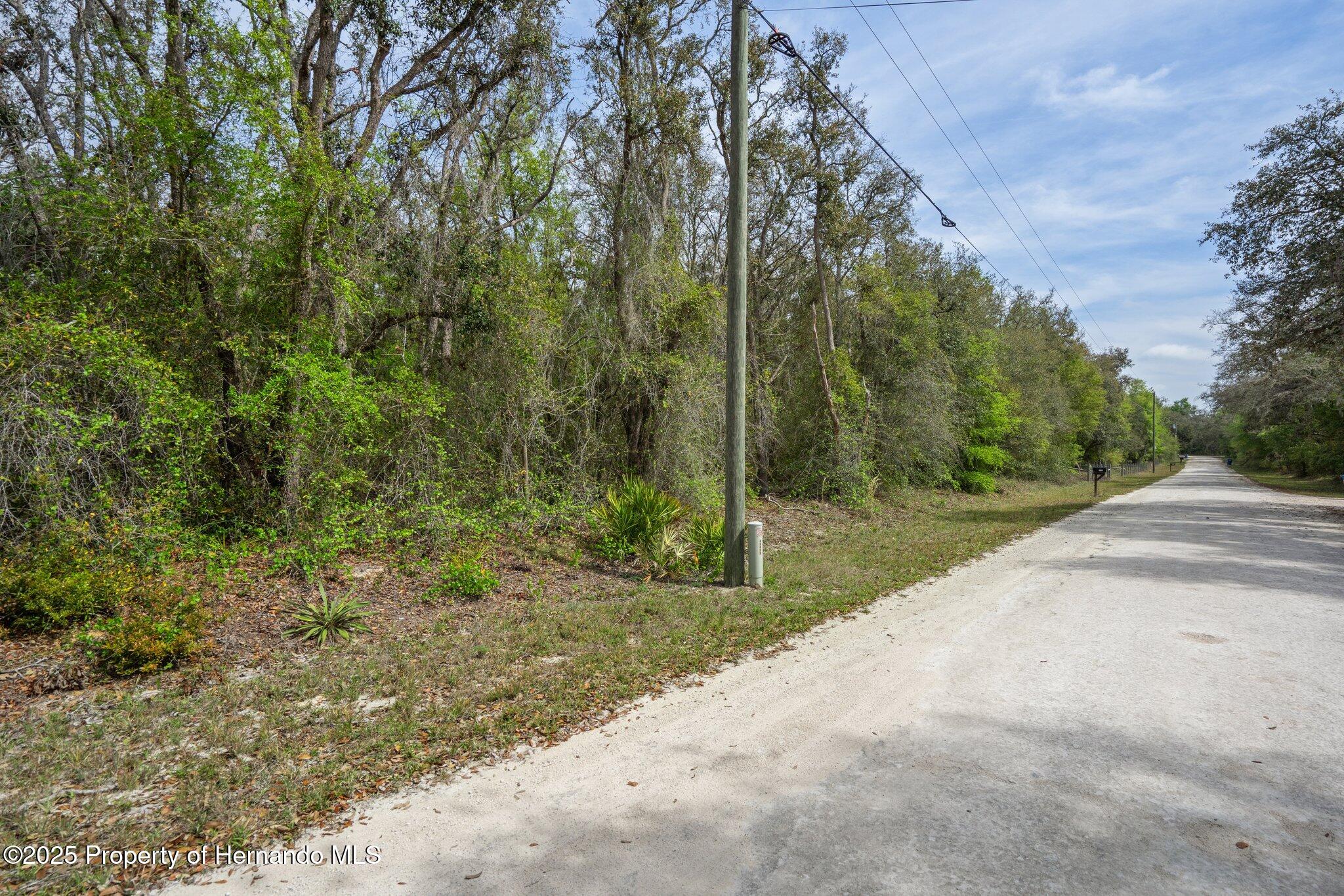 0 Rimrock Street Webster, FL 33597 - Photo 6 of 25