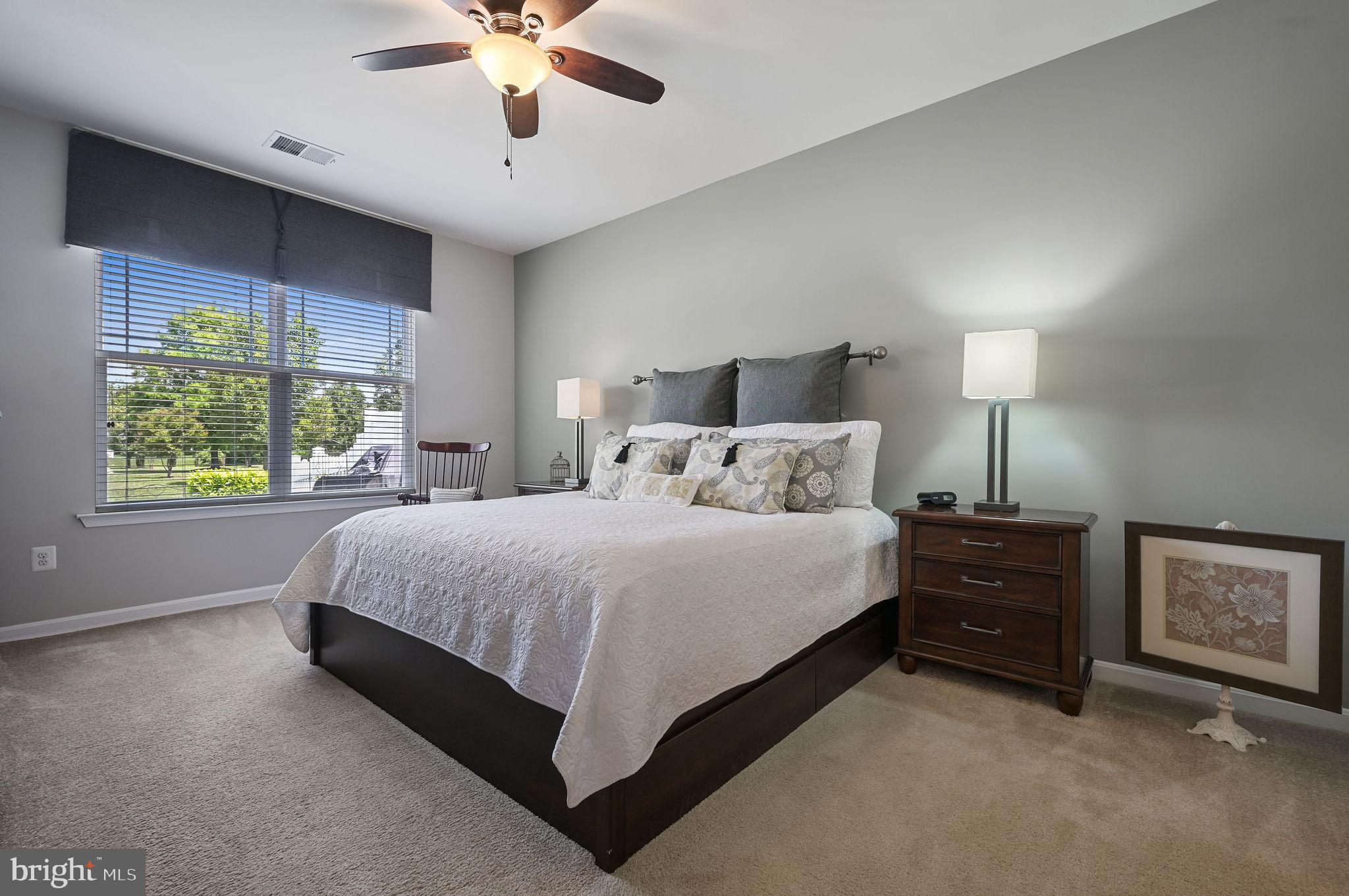 42 Cresthaven Lane Dover, DE 19901 - Photo 19 of 33 Large Primary w/walk in closet