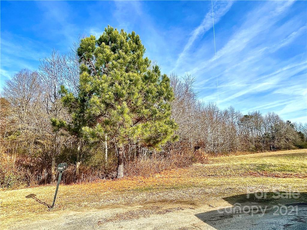 2207 Router Court, Unit 42 Crouse, NC 28033 - Photo 2 of 25 Gallery Image 2