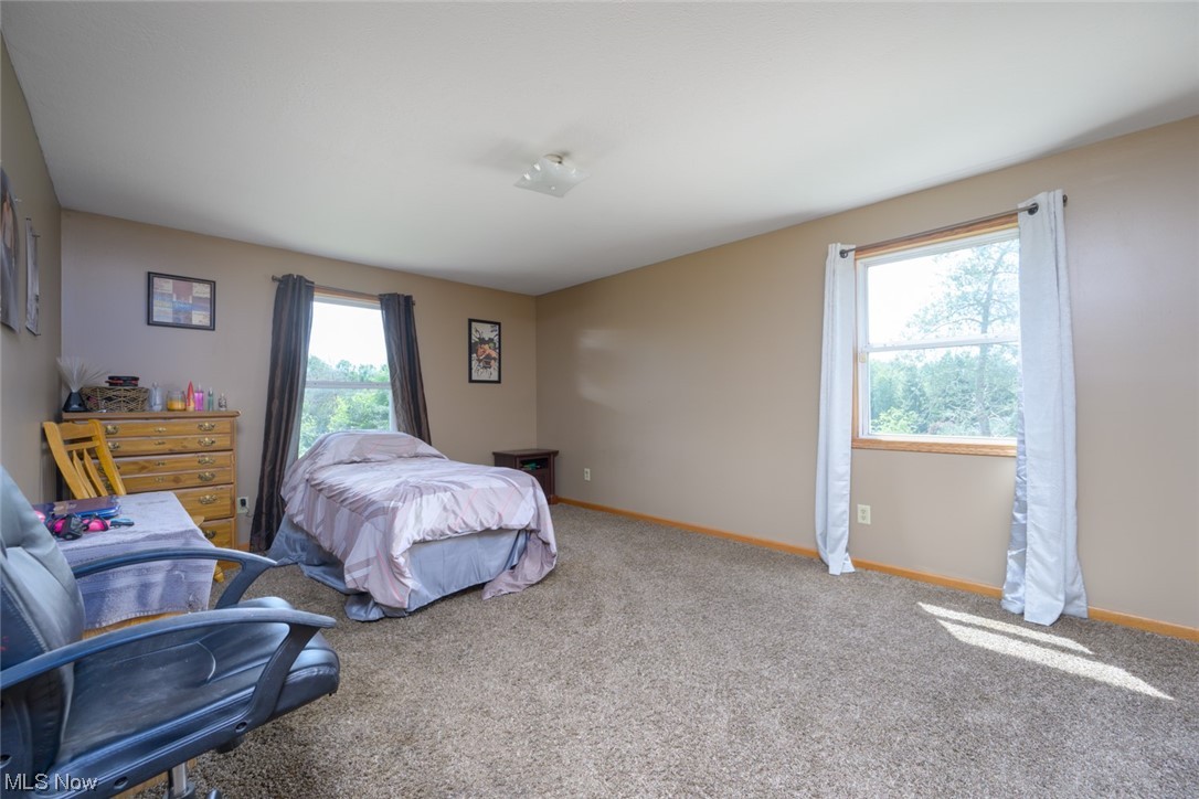10142 Williams Road Diamond, OH 44412 - Photo 31 of 35 Gallery Image 31